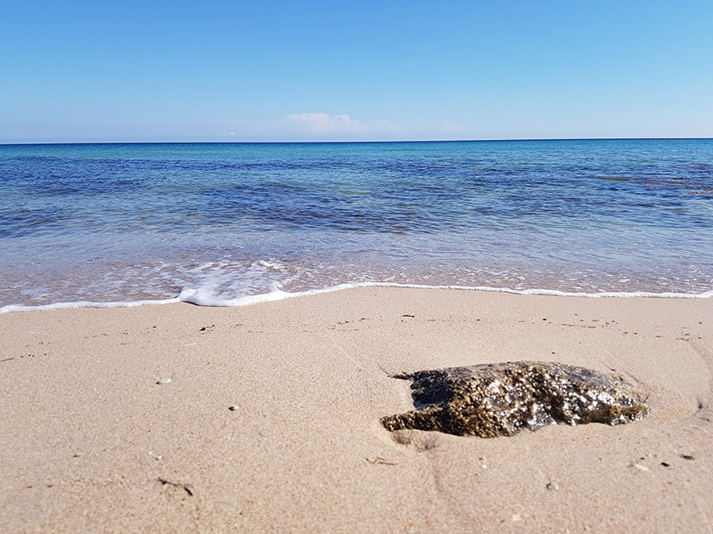 тур выходного дня по крыму фото