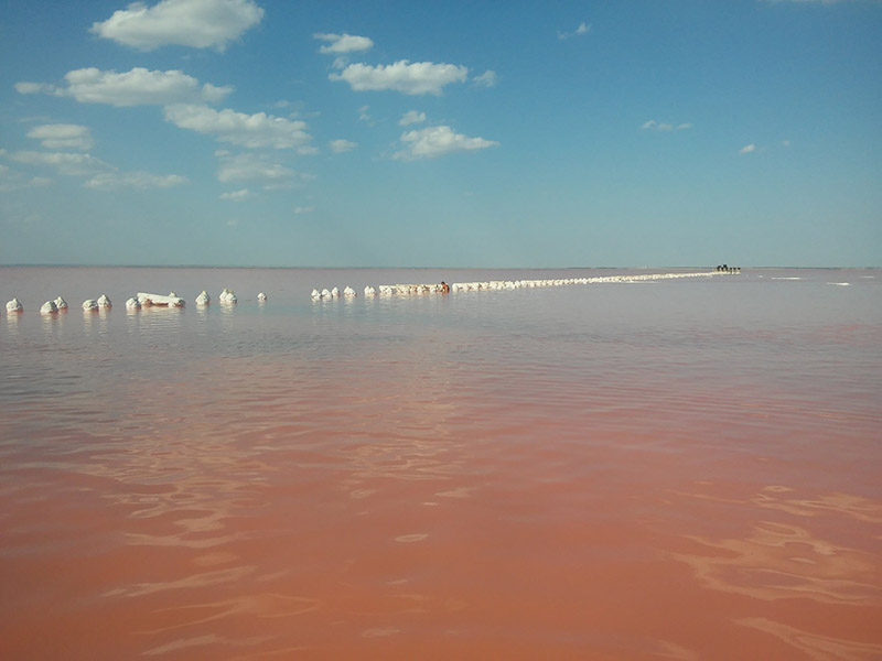 Розовое озеро Сасык-Сиваш в Крыму фото